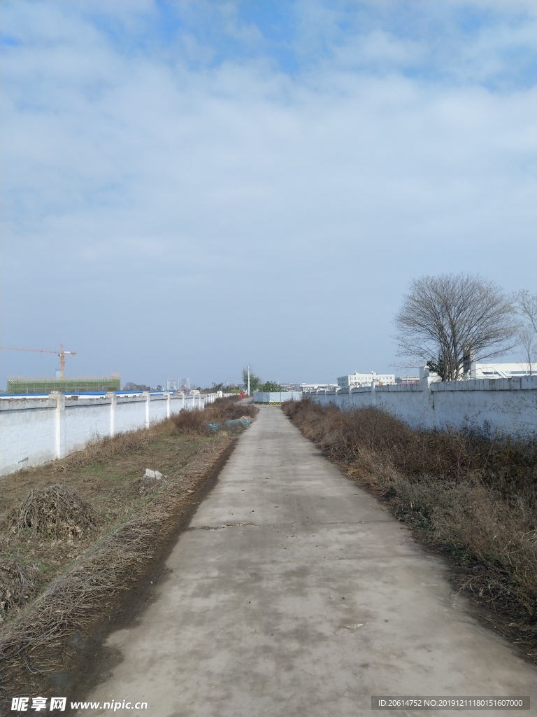 乡村道路风景