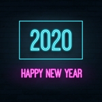 2020 年