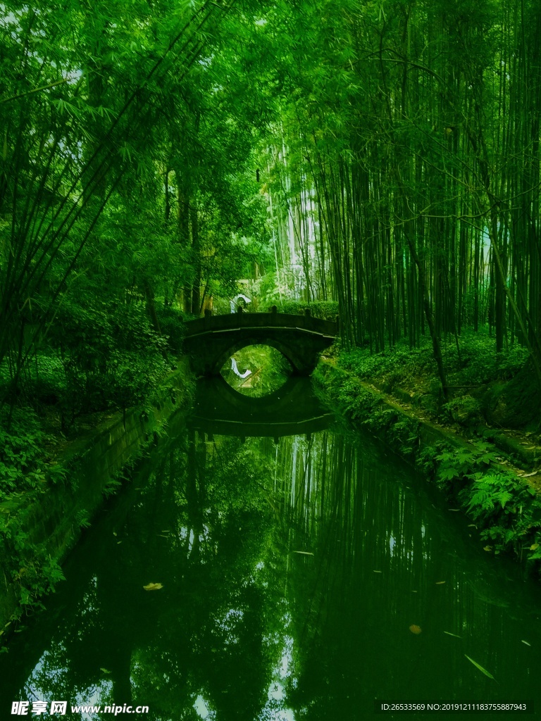 竹子 大树 小拱桥 绿色 清新