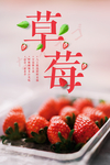 草莓