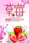 草莓