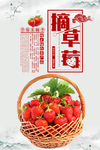 草莓