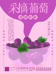 葡萄