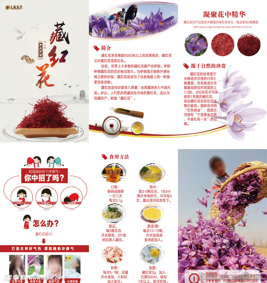 藏红花折页