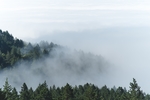 山脉与山林