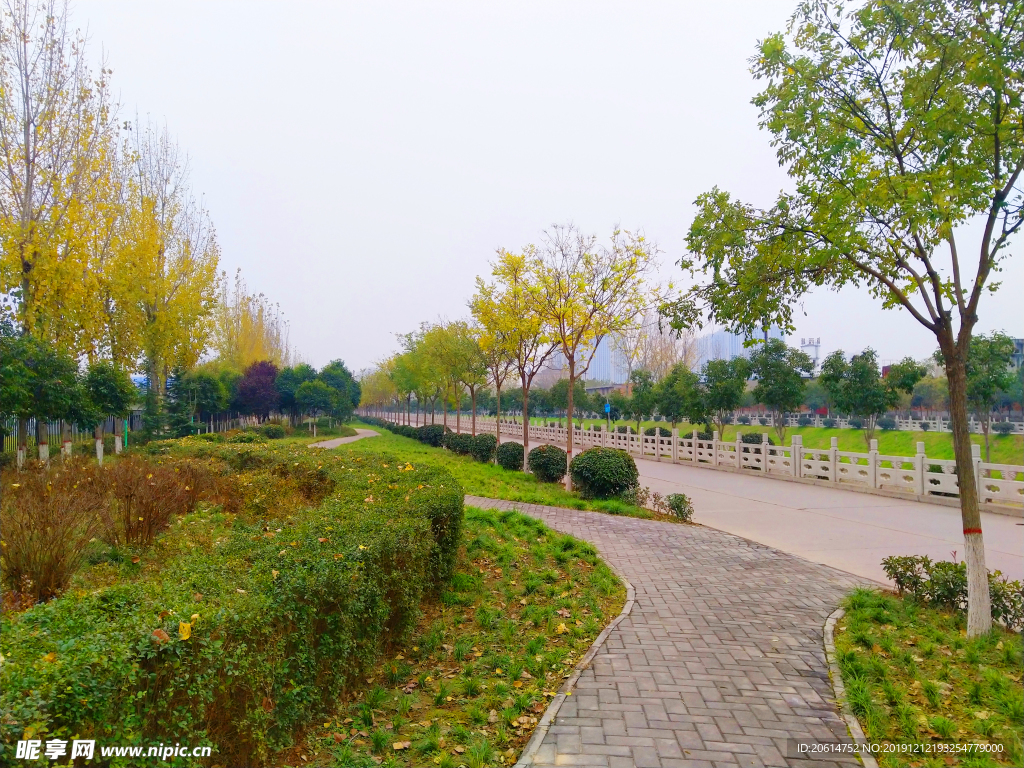 美丽的公园风景