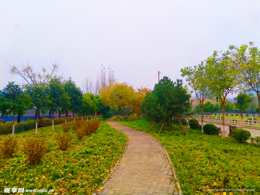 美丽的道路风景