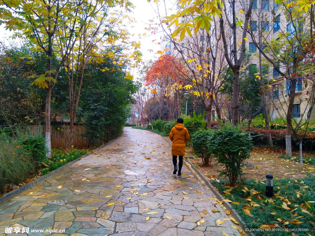 城市公园风景