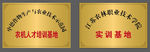 铜牌