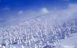 雪景