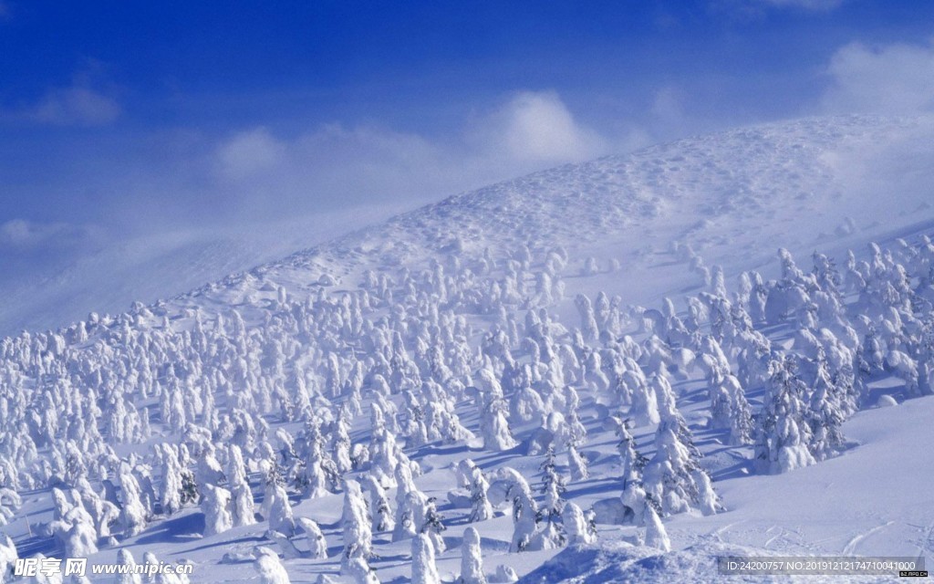 雪景