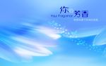 壁纸
