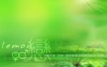 壁纸