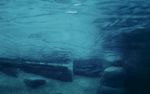 水面