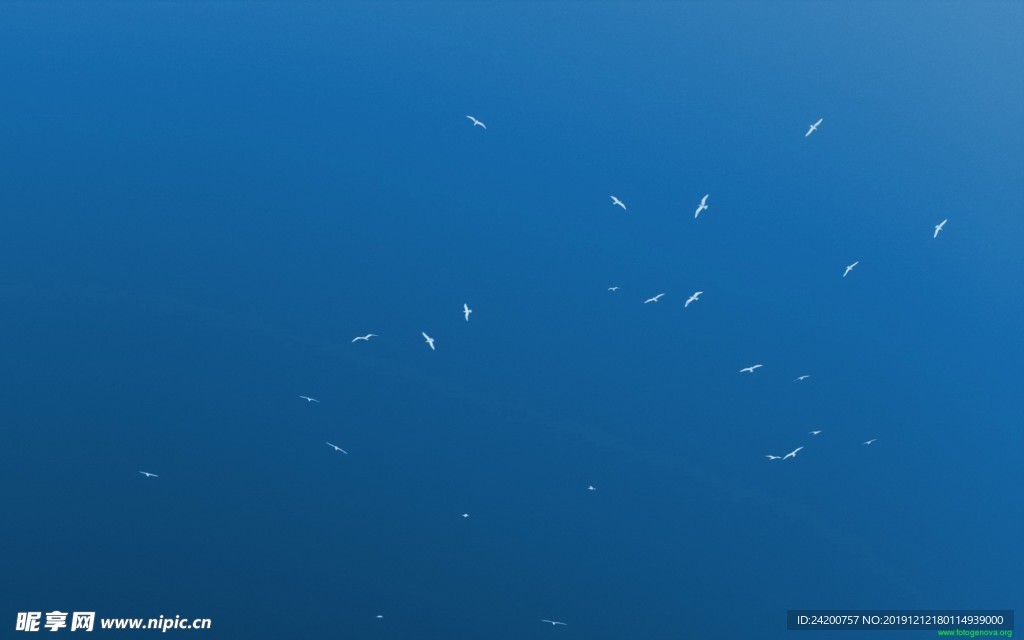壁纸