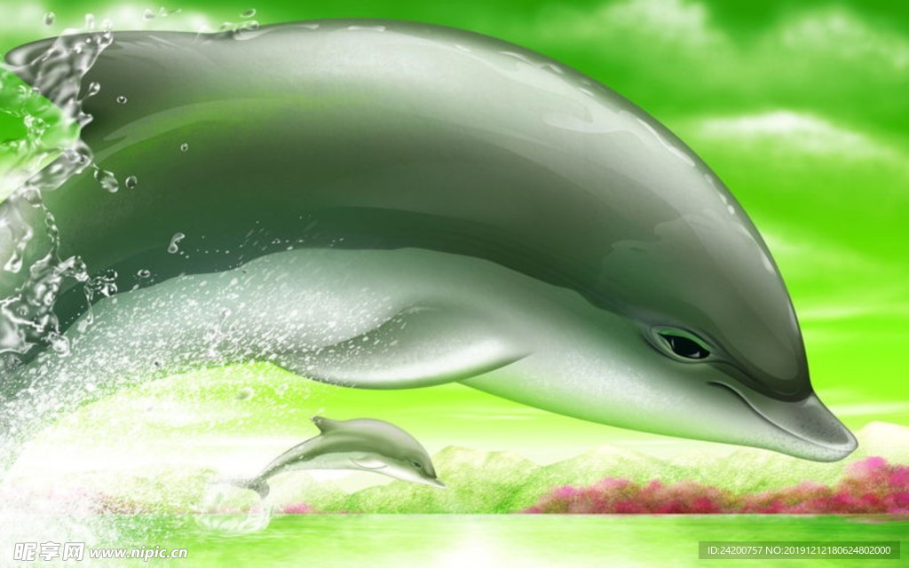 海豚
