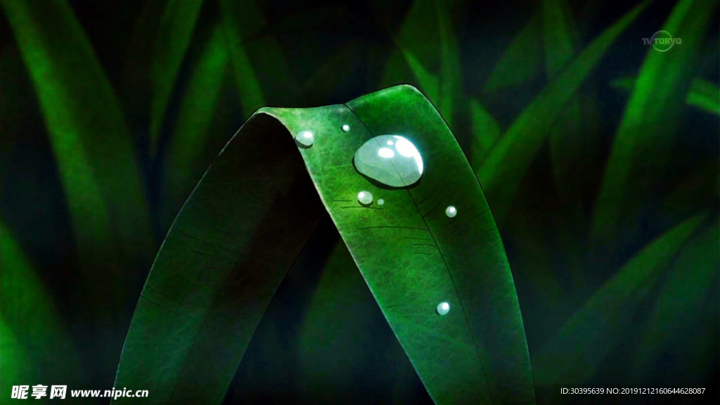 绿色植物