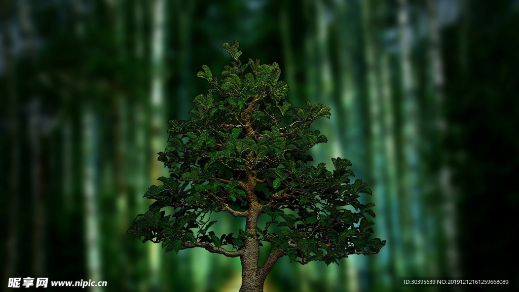 绿色植物
