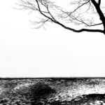 装饰画