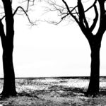 装饰画