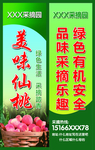 桃子海报