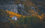 高山 森林 树木 别墅 风景