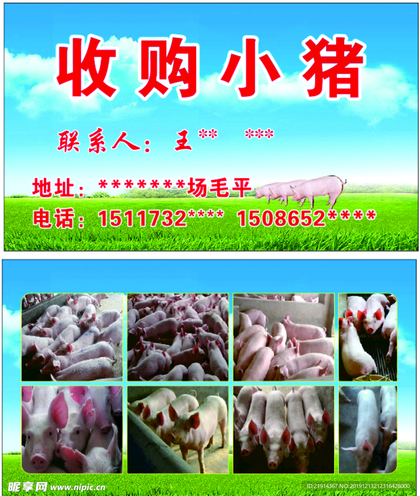 收购小猪名片