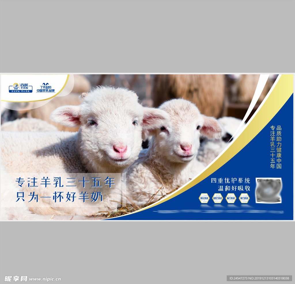 羊奶   奶粉