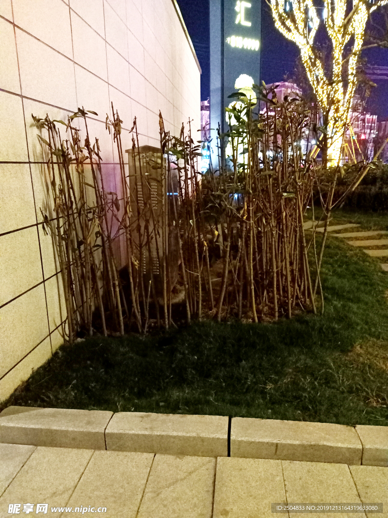 自然风景