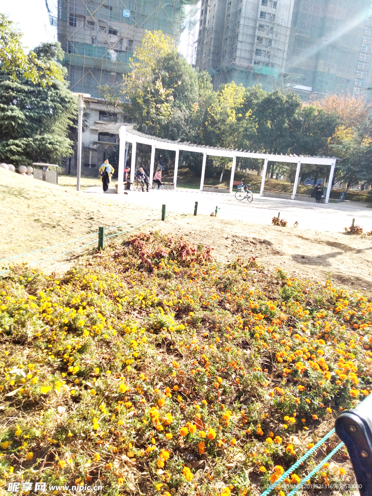 自然风景