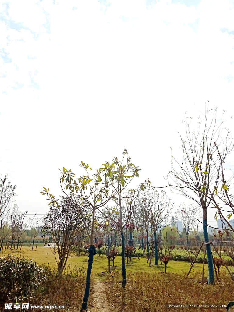 自然风景