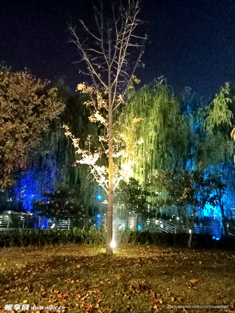 自然风景