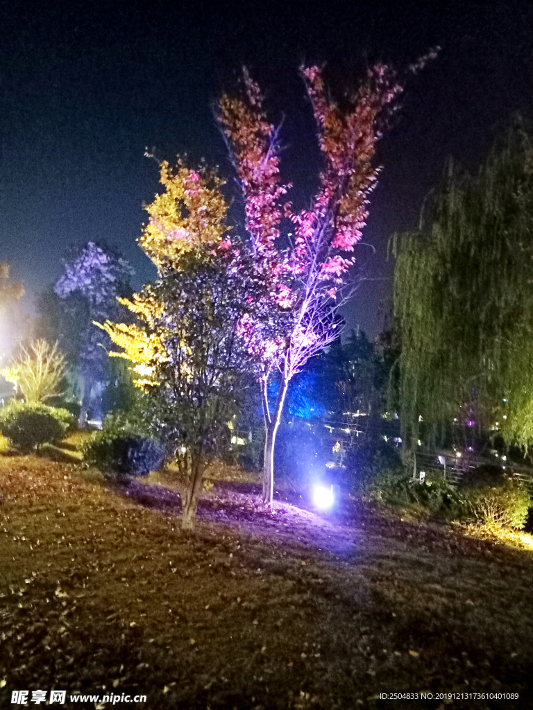 自然风景