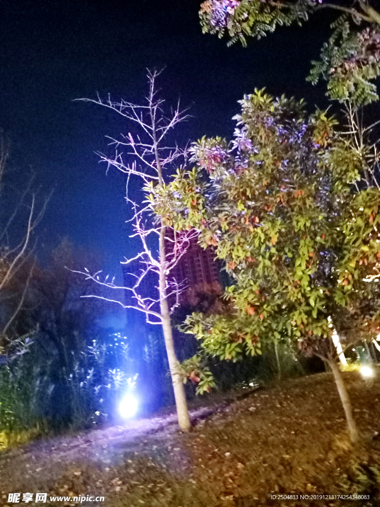 自然风景
