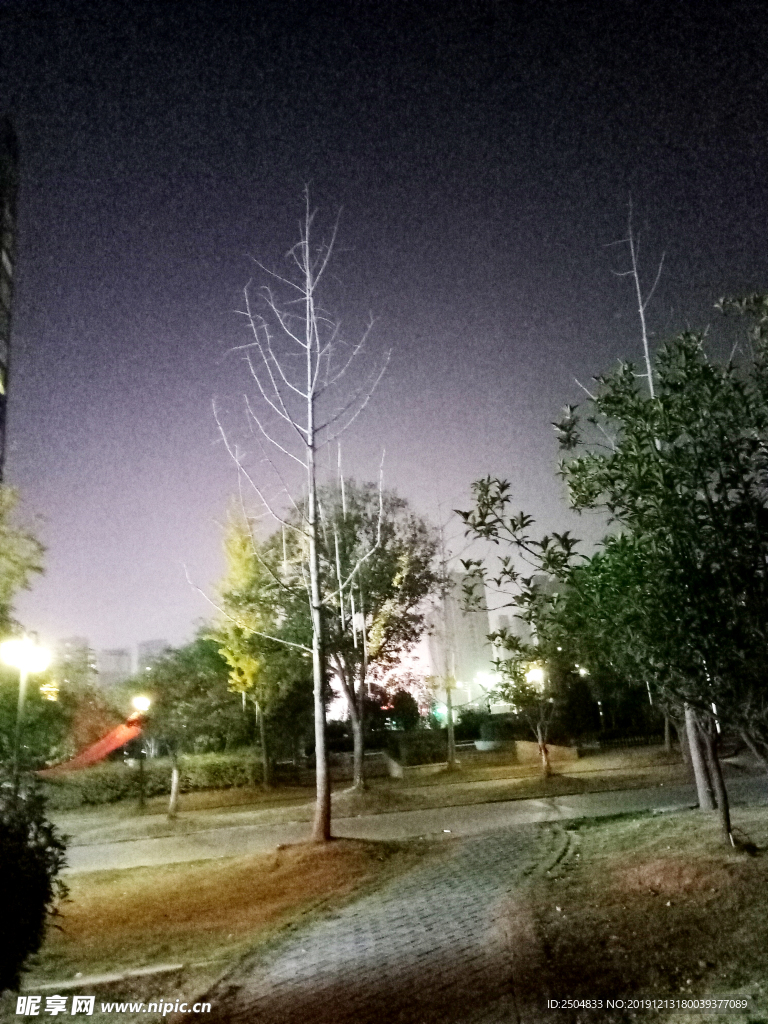 自然风景