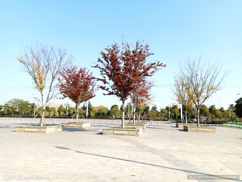 自然风景