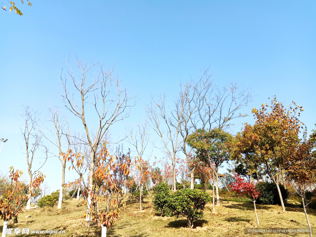 自然风景