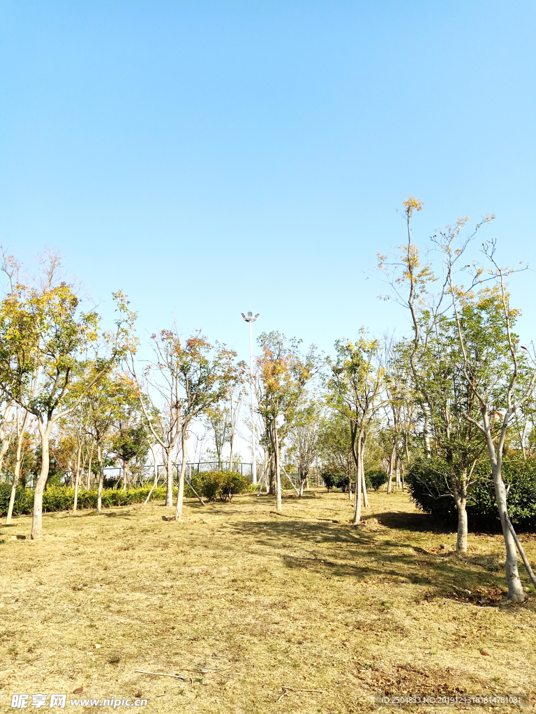 自然风景