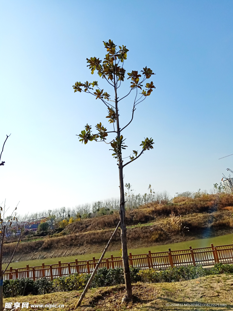 自然风景
