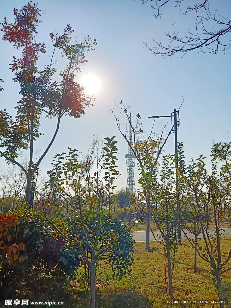 自然风景