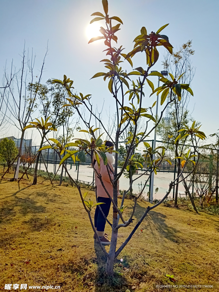 自然风景