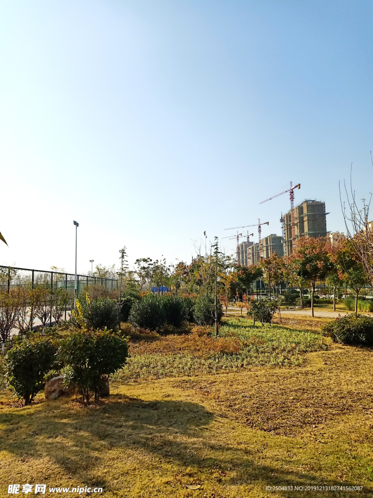 自然风景
