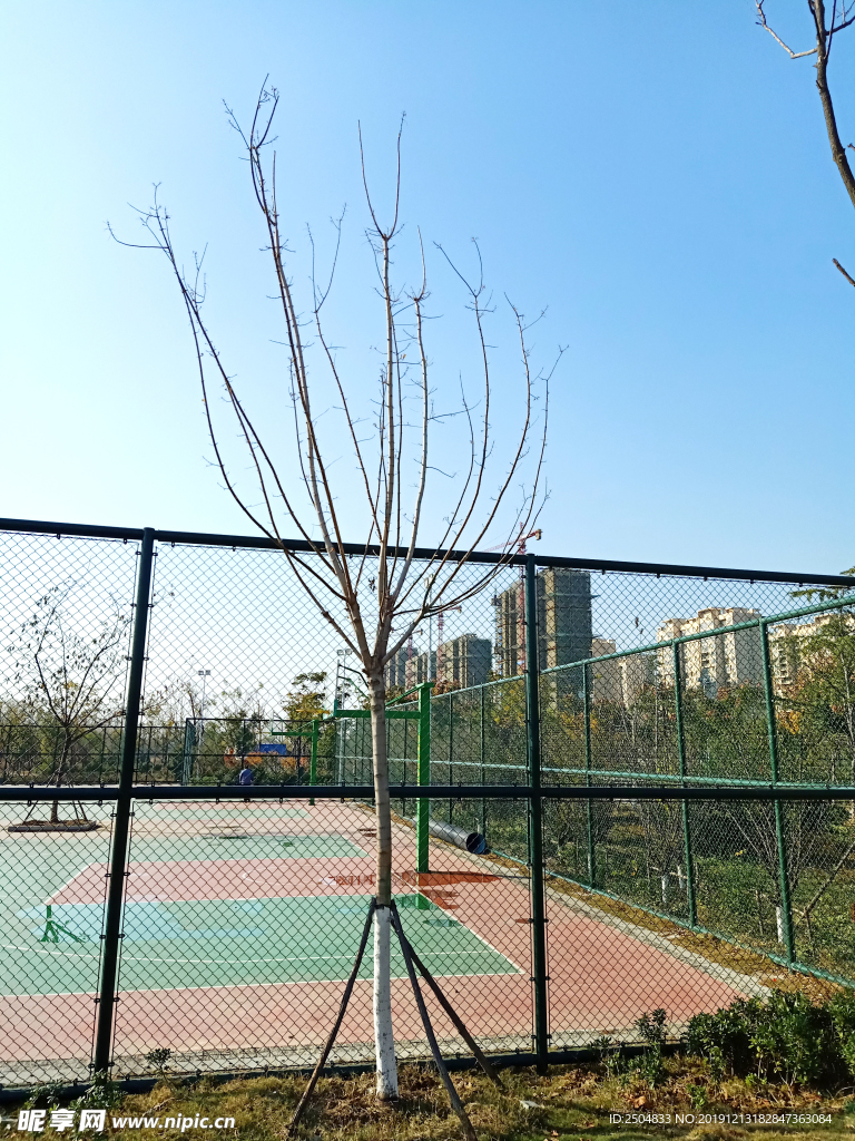 自然风景