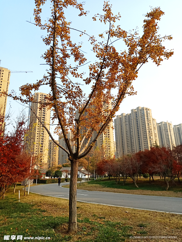 自然风景