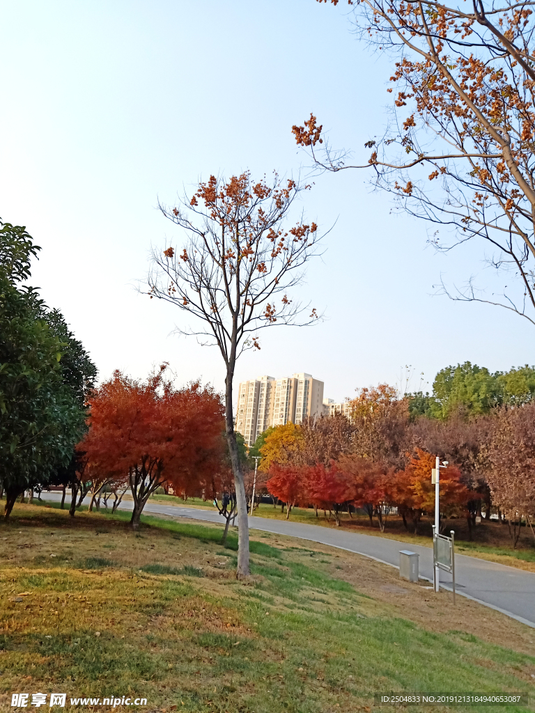 自然风景