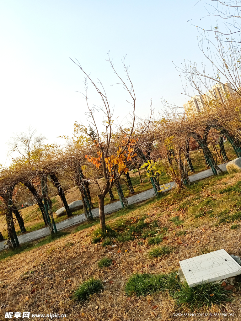 自然风景