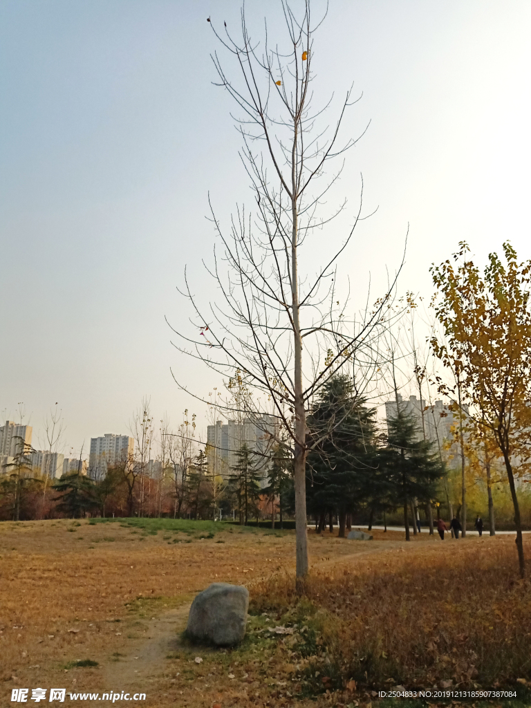 自然风景