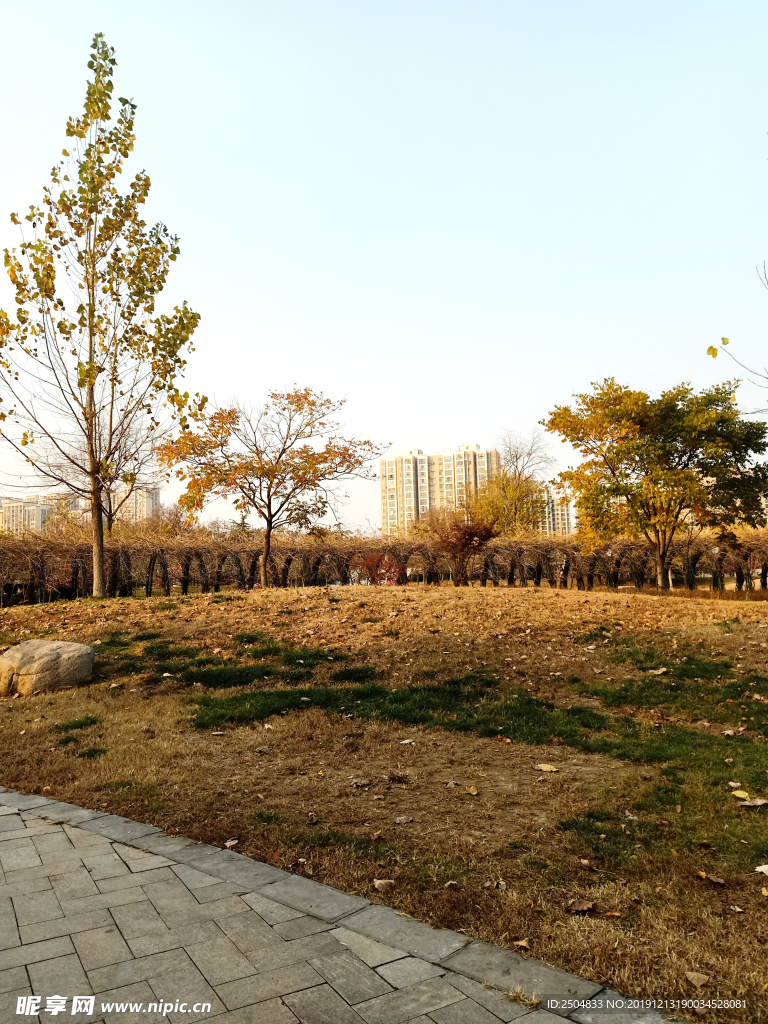 自然风景