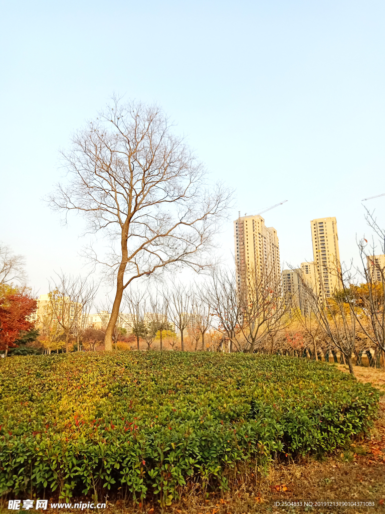 自然风景