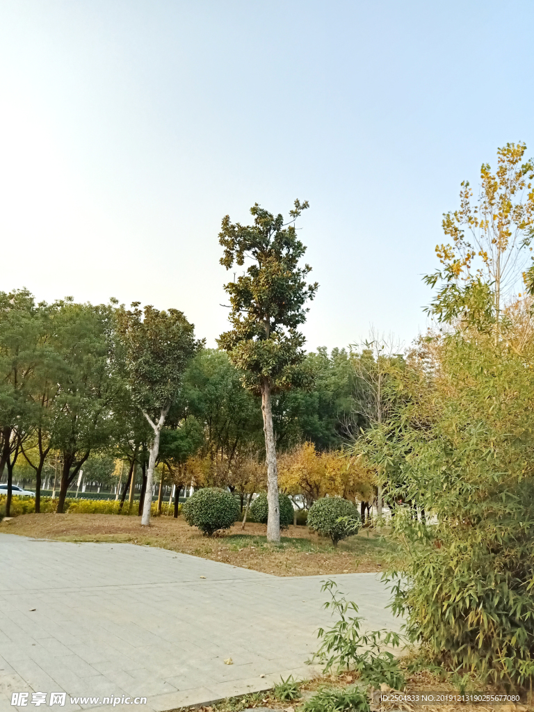 自然风景
